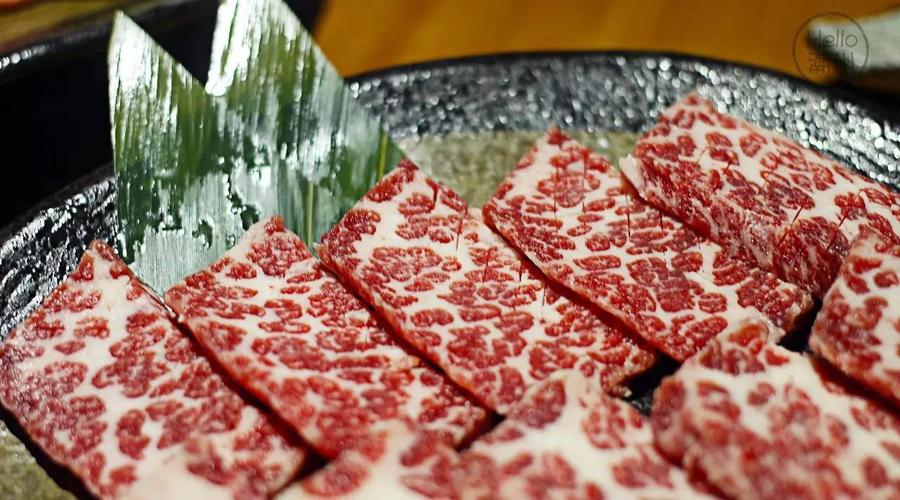 玉子烤肉培训：美国和牛养殖情况🔥