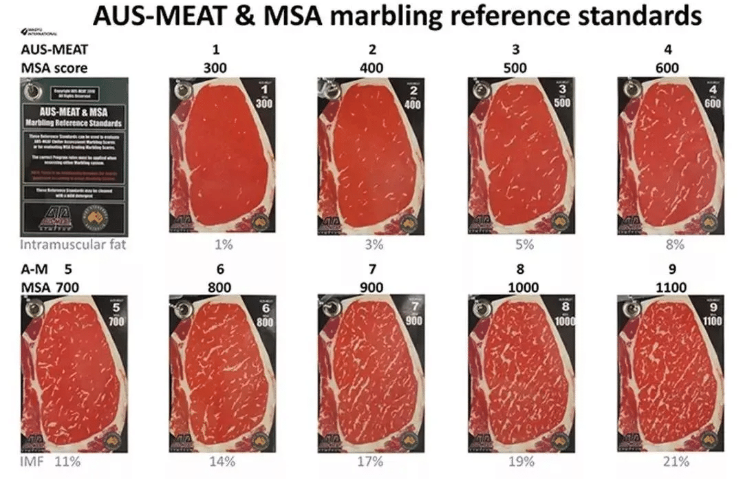 烤肉培训：澳洲牛肉等级怎么看？M3、M5、M9到底有什么区别？🥩🇦🇺